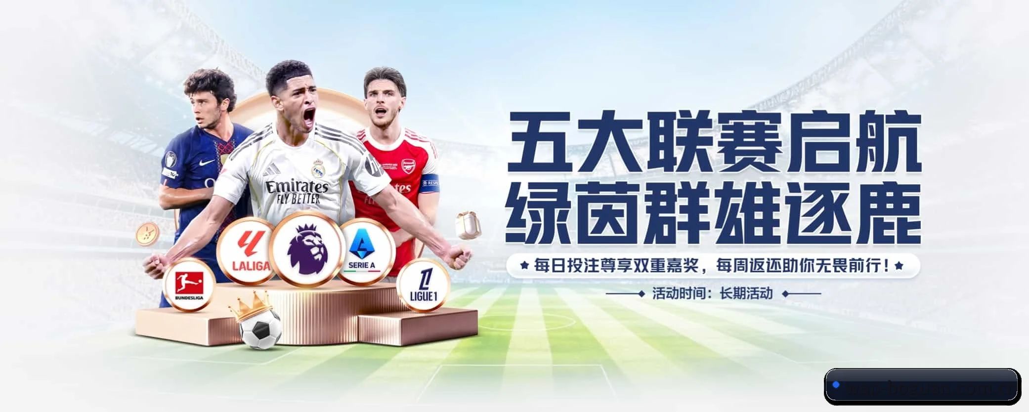 各版块垂直深入，完美契合不同运动项目偏好 - 多运动项目内容板块